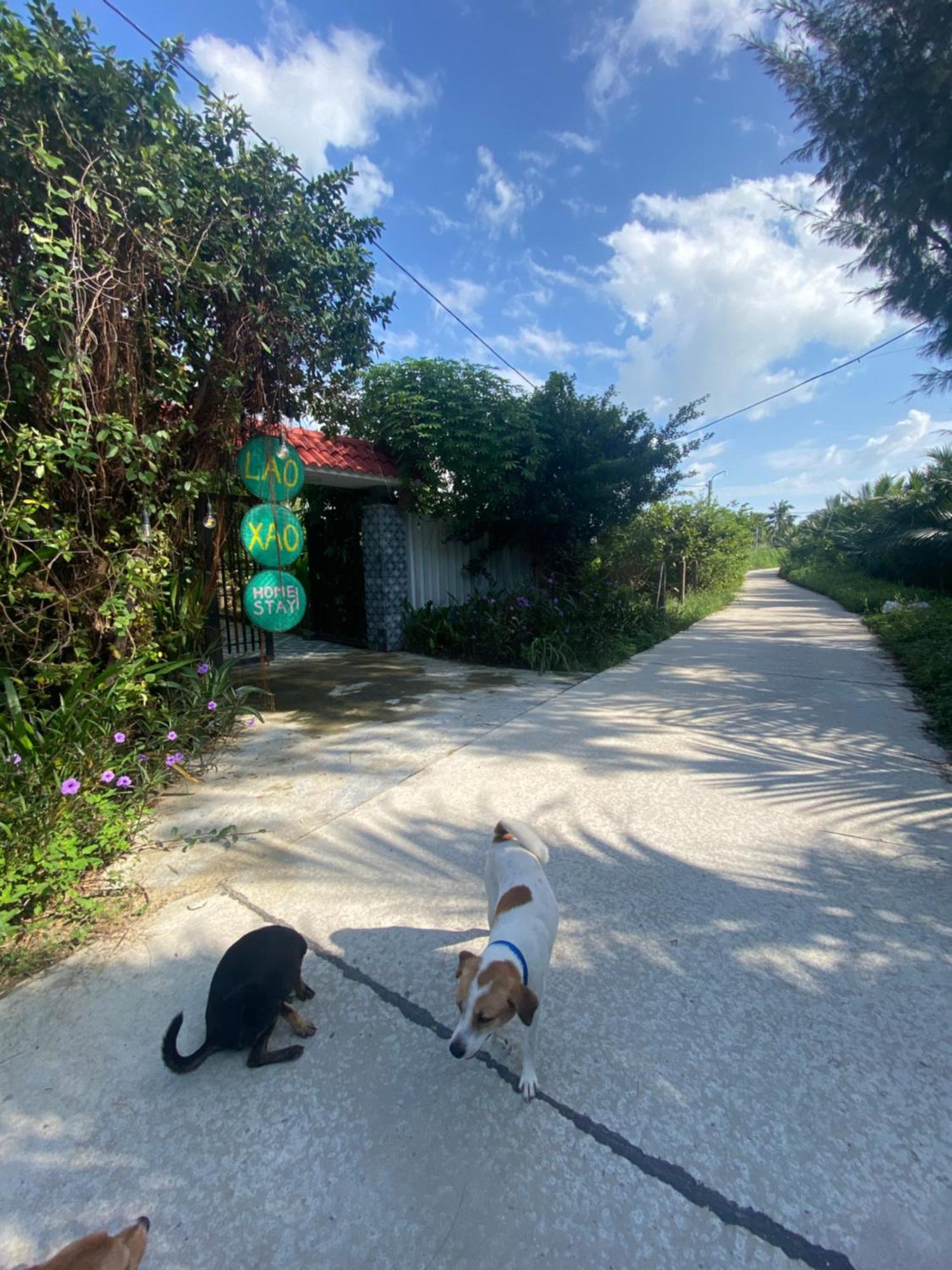Laoxao Homestay