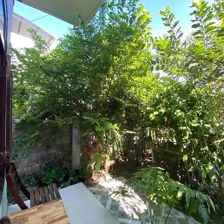 Laoxao Homestay Hoi An Exterior photo